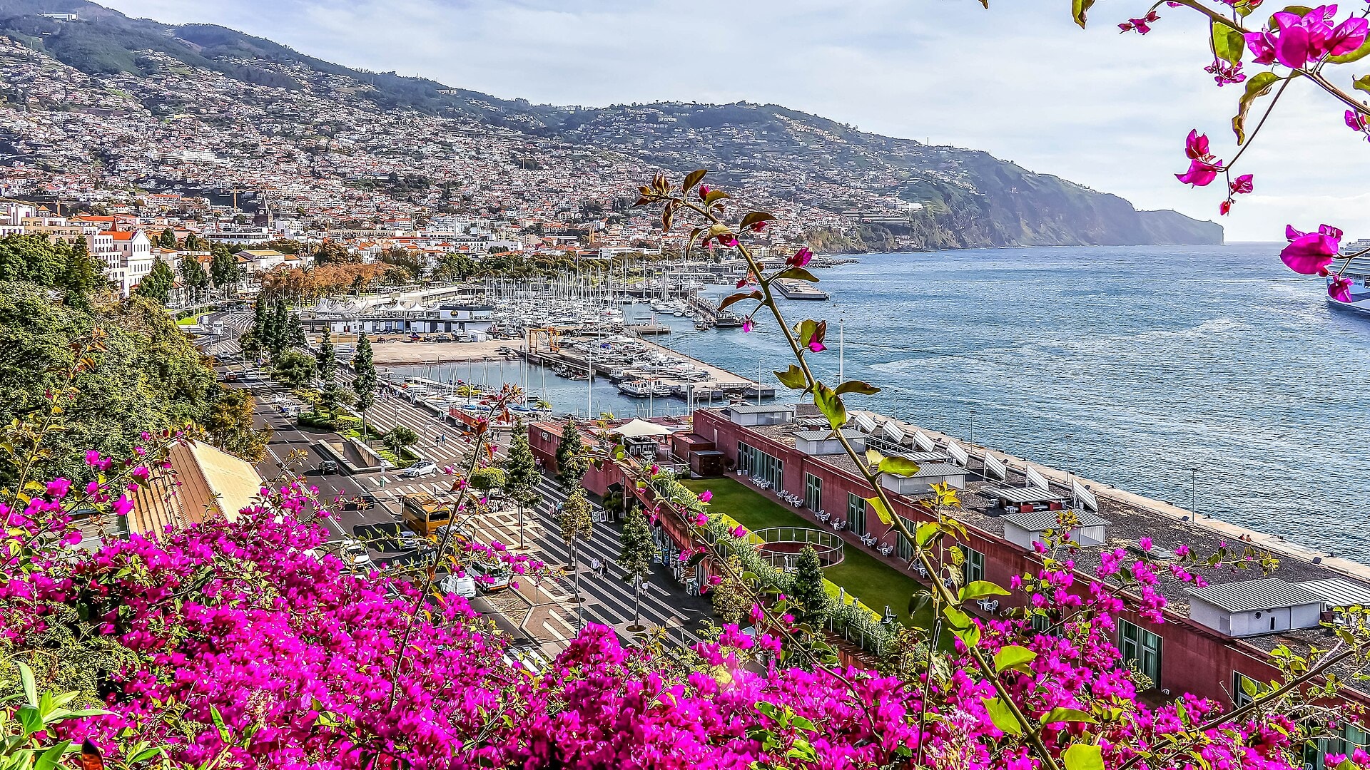 Funchal and its bay seen from the Quinta Vigia gardens, Madeira, Portugal