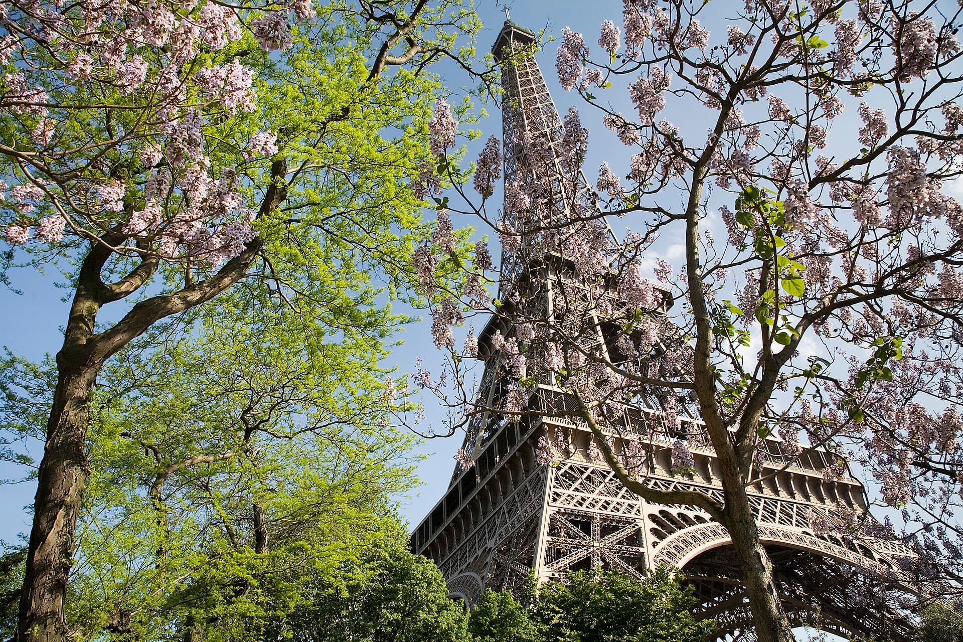 The Eiffel Tower rising above the Champ de Mars in Paris, France