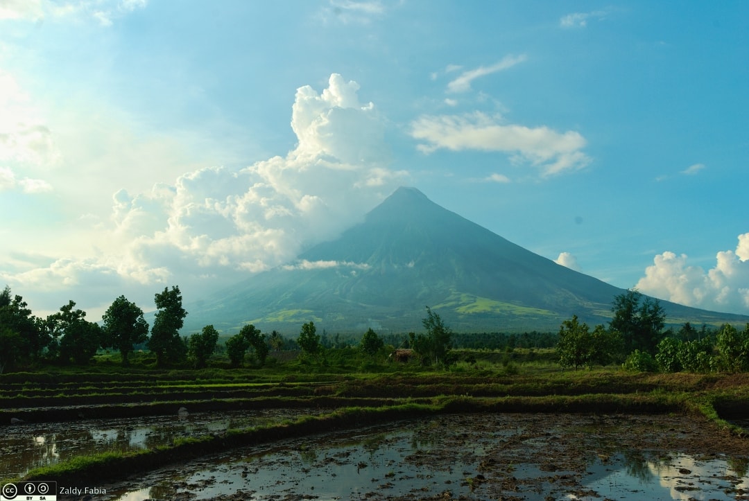 Mayon Volcano rising over rice paddies in Albay, Philippines